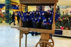Traditional Flower Cart shown on display outside our shop on our Grand Opening Day. Displayed in full glory in Intu Shopping Centre & holding free roses for our new customers.