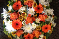 orange posy